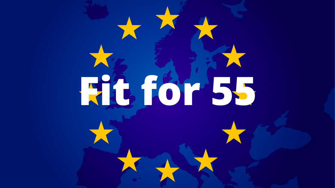 Fit For 55 CO2 Artikel