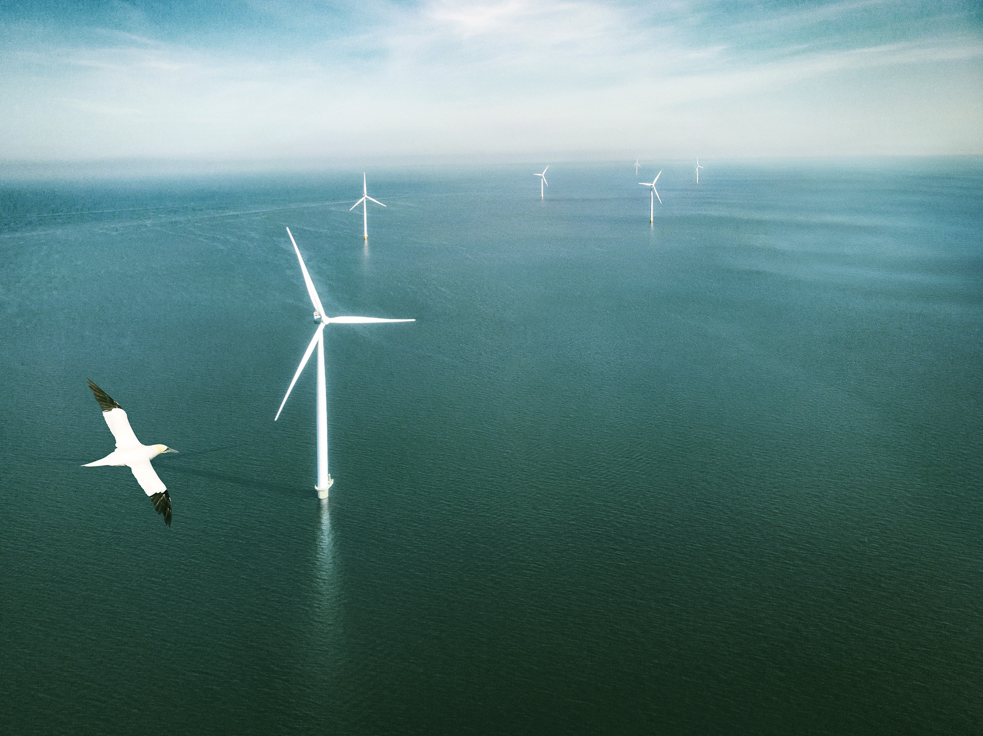 20230731 Ecowende Edited Jan Van Gent Wind Farm Overview Credit
