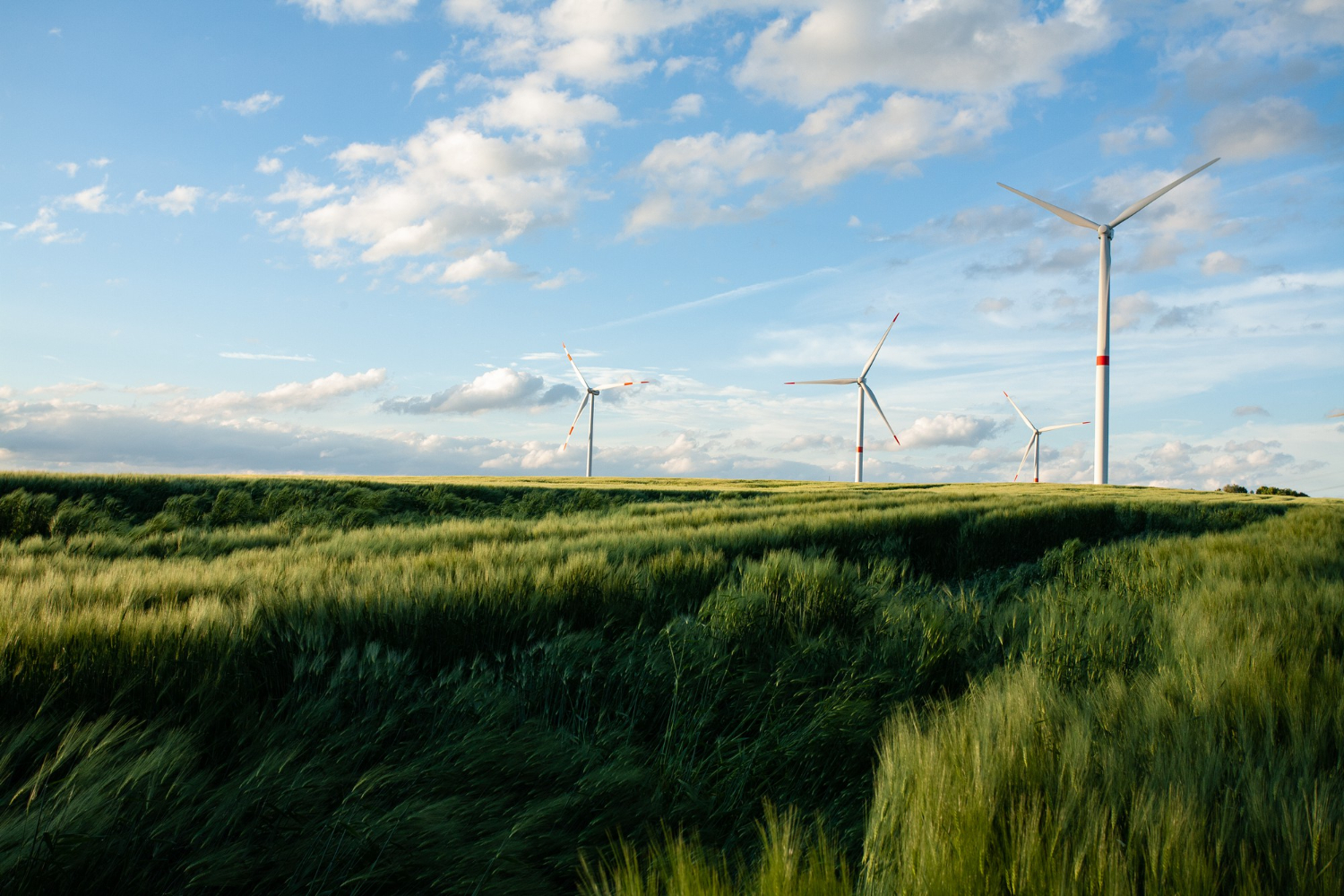 Beautiful Grassy Field With Windmills Distance Blue Sky (1)