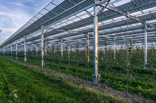 Agri PV A73 (3)