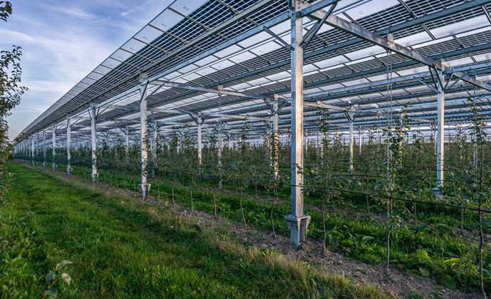 Scholt Energy en Koolen Industries realiseren samen netstabilisatie