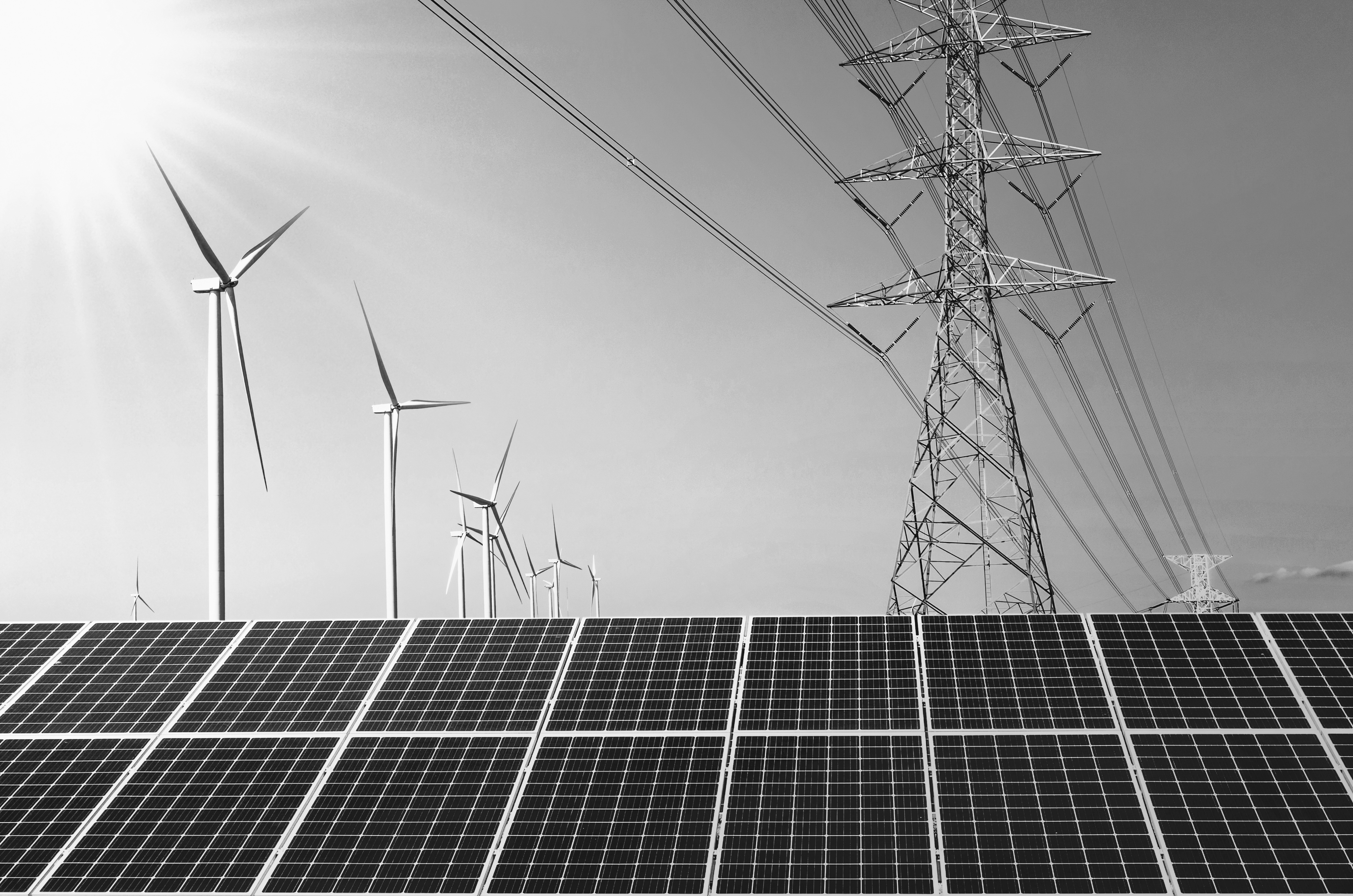 Curtailment – for producers