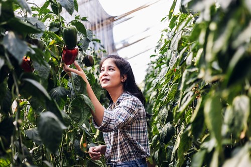 Agri Food 04