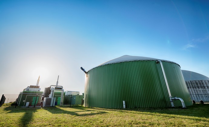 Scholt Energy en EcoFuels zetten biovergistingsinstallatie in voor duurzamere balanshandhaving elektriciteitsnetwerk