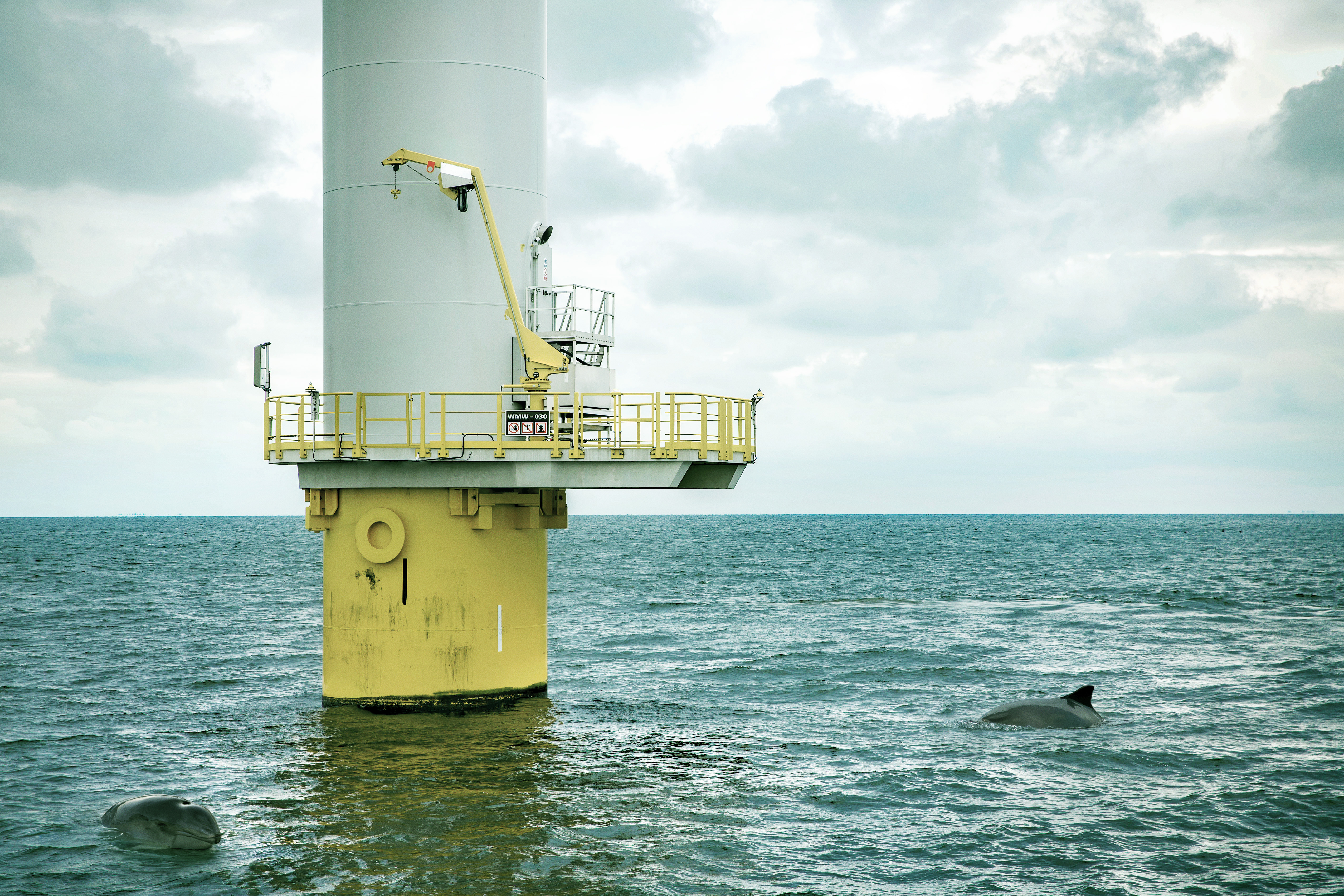 20230706 Ecowende Edited Visual Turbine At Sea Credit