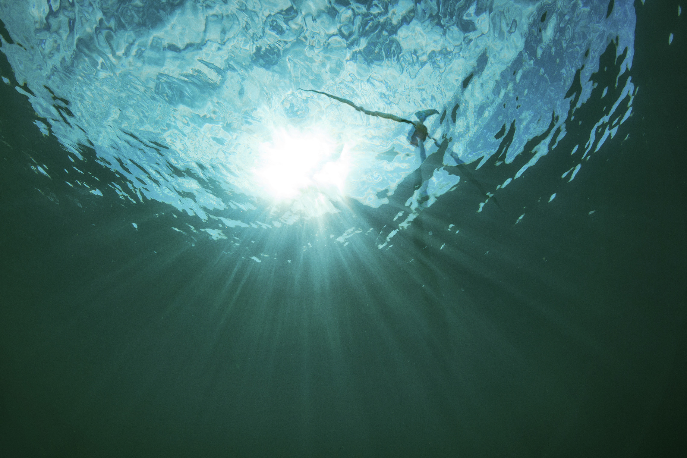 20230706 Ecowende Animated Visual Below Water Credit